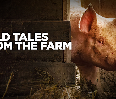 Wild Tales From the Farm Season 1