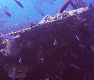 På havets bunn: Annen verdenskrig (2016)
