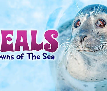 Seals Clowns Of The Sea (2025)