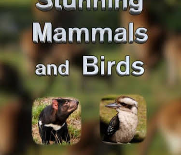 Stunning Mammals and Birds: Australia (2022)