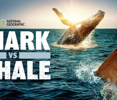 Shark vs. Whale (2020)
