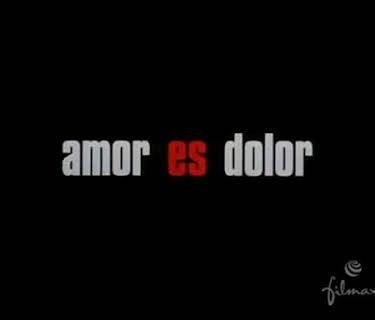 Amores perros (2000)