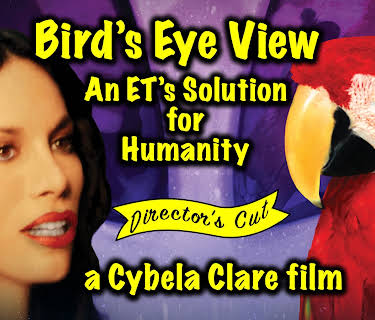 Bird's Eye View: An ET's Solution for Humanity (2026)