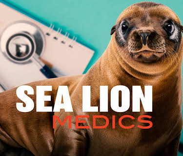 Sea Lion Medics (2021)