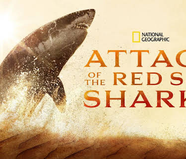 Attack of the Red Sea Sharks (2024)