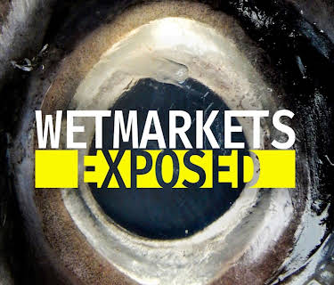 Wet Markets Exposed
