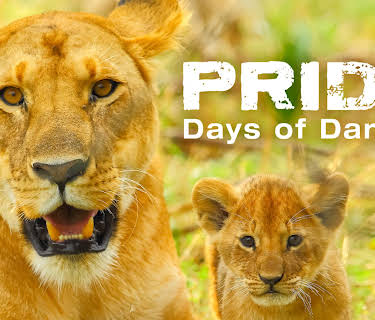 Pride - Days of Danger (2016)