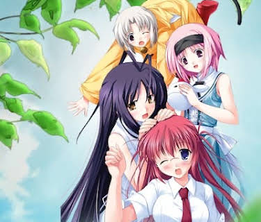 Final Examination Kujira