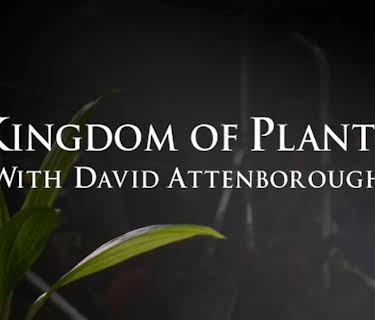Kingdom of Plants