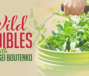 Wild Edibles with Sergei Boutenko (2019)