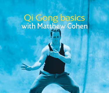 Qi Gong Basics (2011)