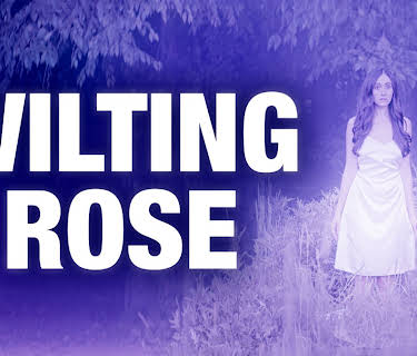 Wilting Rose (2025)