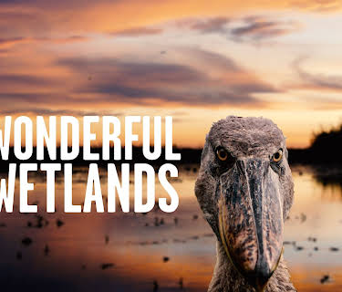 Wonderful Wetlands (2025)