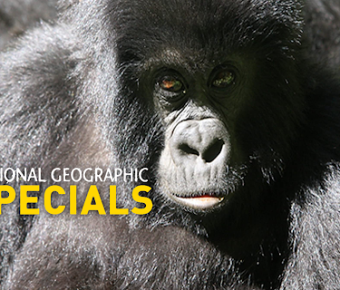 National Geographic Specials Season 1