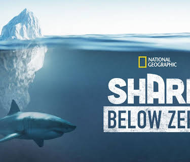 Shark Below Zero (2023)