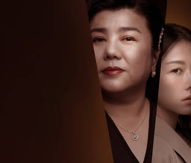 Lost in Perfection (2023)