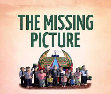 The Missing Picture (2014)