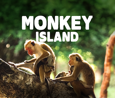 Monkey Island