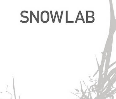Snow Lab (2012)