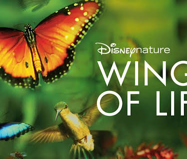 Wings of Life (2011)