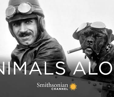 Animals Aloft (2009)