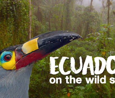 Ecuador: On the Wild Side