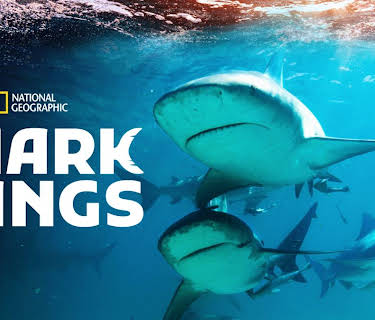 Shark Gangs (2021)