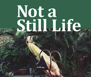 Not a Still Life (2016)