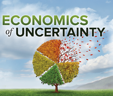 The Economics of Uncertainty