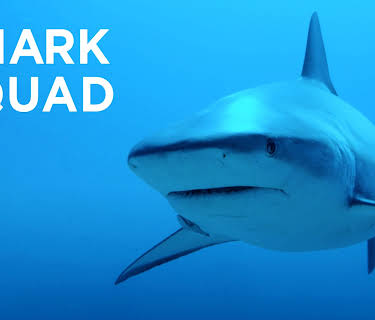 Shark Squad S1