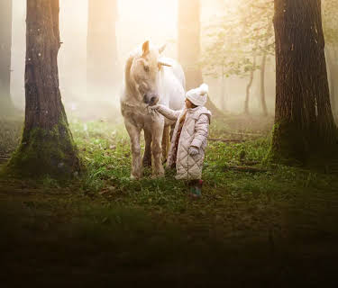 Tale of the Forest Unicorn (2025)