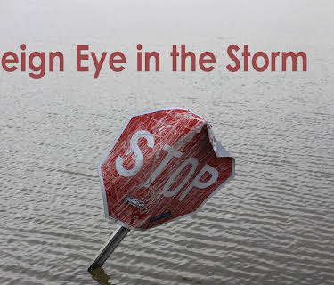 Foreign Eye in the Storm (2015)