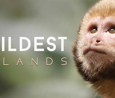 Wildest: Islands