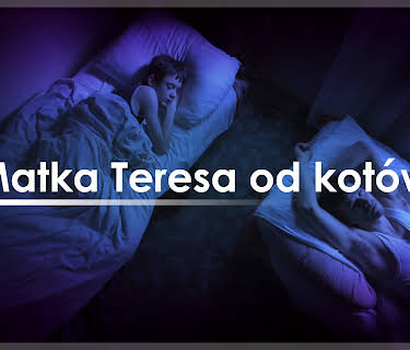 Matka Teresa od kotów (2010)