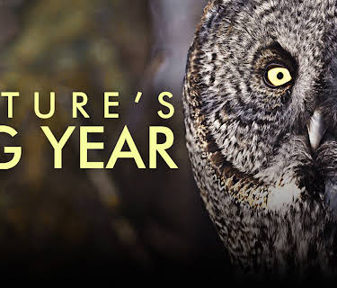 Nature's Big Year (2021)