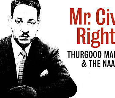 Mr. Civil Rights: Thurgood Marshall and the NAACP (2014)