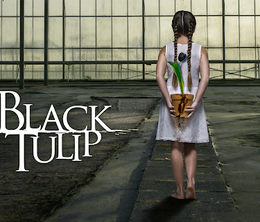 Black Tulip, Season 1