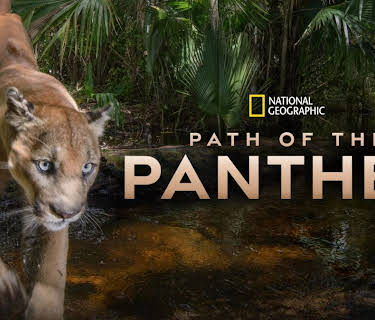 Path of the Panther (2023)