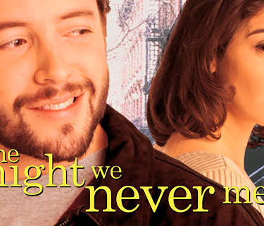 The Night We Never Met (1993)