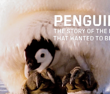 Penguins: The Story of the Birds That Wanted to be Fish (2007)