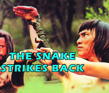 The Snake Strikes Back (1981)