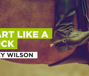 Heart Like a Truck in the Style of Lainey Wilson (2022)