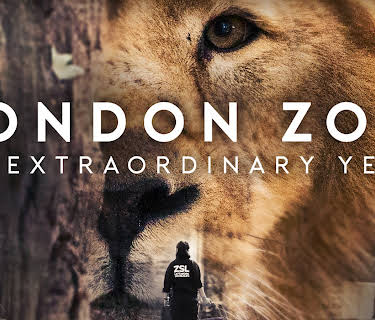 London Zoo: An Extraordinary Year