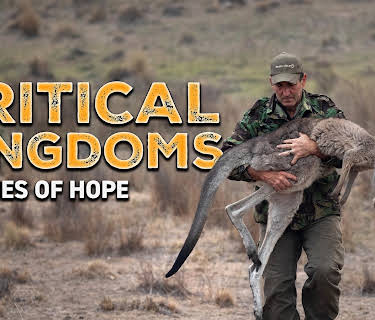 Critical Kingdoms: Stories of Hope, Season 1