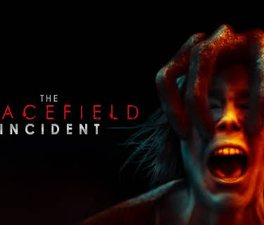 The Gracefield Incident (2017)
