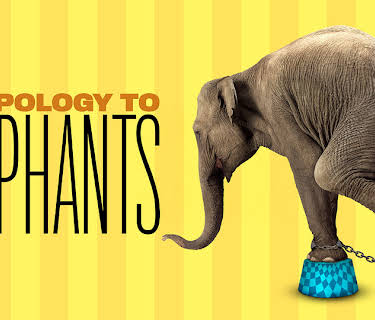 An Apology to Elephants (2013)