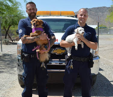 Animal Cops: Phoenix