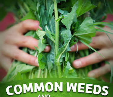Common Weeds and Wild Edibles of the World (2015)