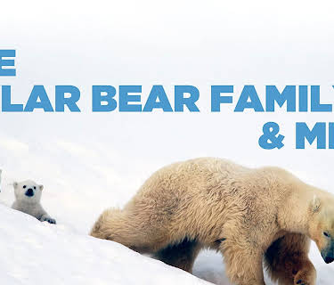 The Polar Bear Family and Me Season 1