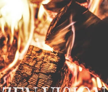 Zen Vision: Flames (2009)